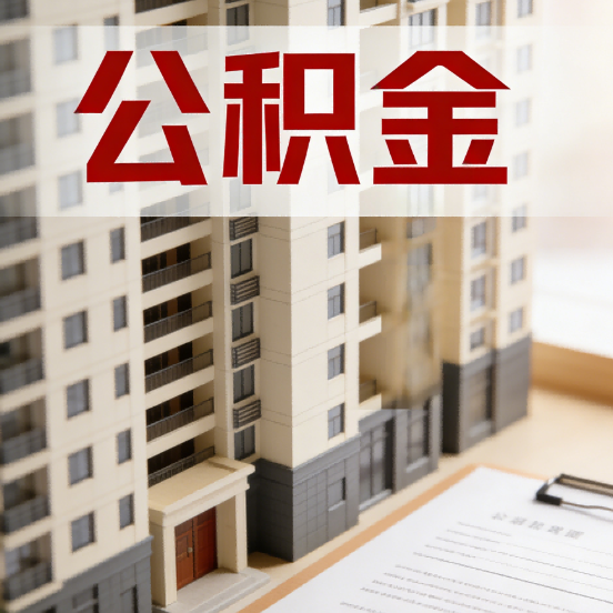 五指山公积金代办行业新生态：从“跑腿中介”到“生活管家”的进化之路